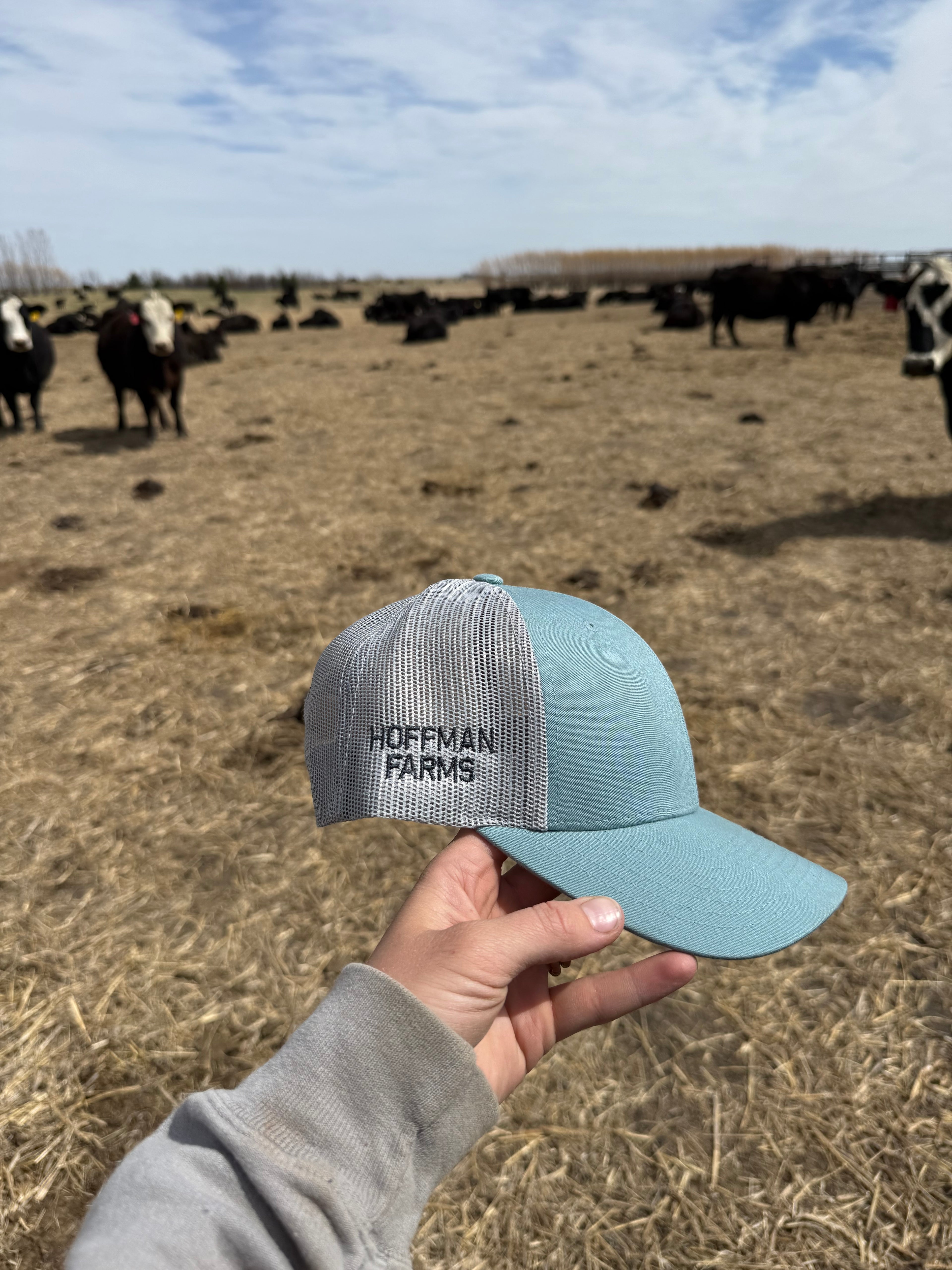 DRR Cap