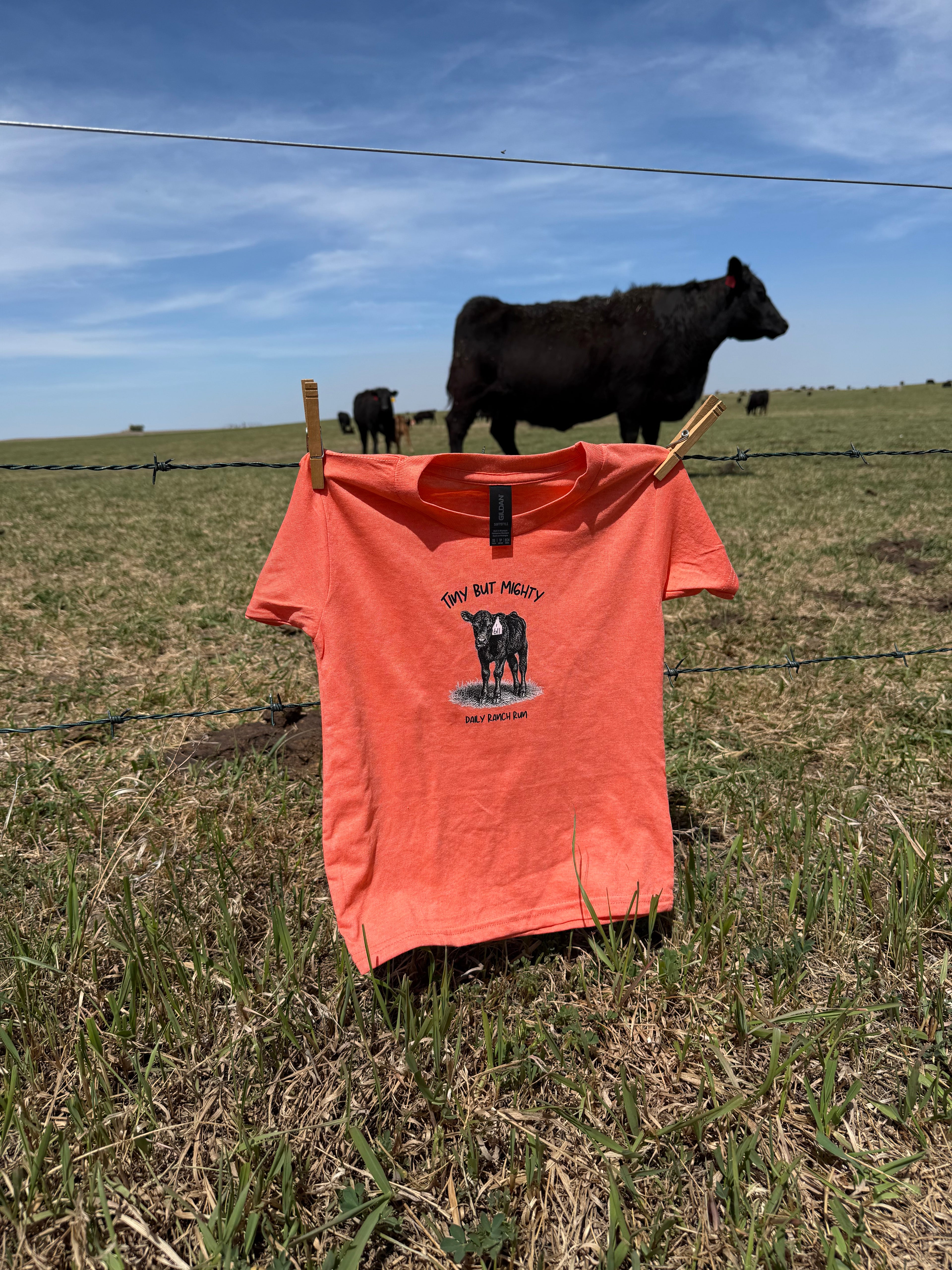 Youth Daily Ranch Run tees